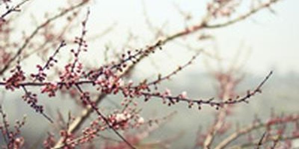 Тёплая, но неустойчивая погода ждёт жителей Приморья в выходные