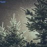 В субботу вечером в Приморье начнётся снег