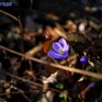 Умеренно теплая погода была в Приморье на выходных