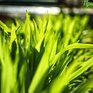 Тёплый сухой воздух из Китая начал поступать в континентальные районы Приморья