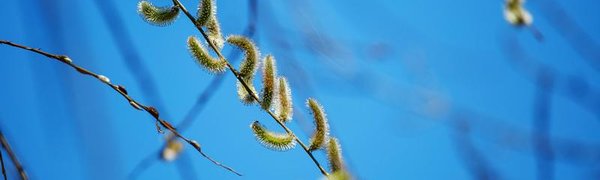 Температура выше климатической нормы установилась в Приморье