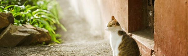 В пятницу теплая погода ненадолго вернется в Приморье
