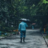 В пятницу интенсивность дождей в Приморье уменьшится