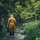 В пятницу интенсивность дождей в Приморье уменьшится