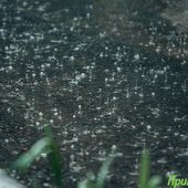 В пятницу интенсивность дождей в Приморье уменьшится