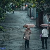 В пятницу интенсивность дождей в Приморье уменьшится