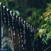 В пятницу интенсивность дождей в Приморье уменьшится
