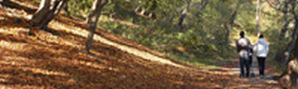 Небольшой дождь пройдет в воскресенье