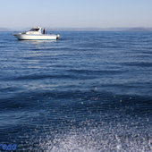 Всемирный день моря