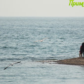 Всемирный день моря