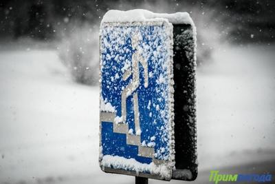 Администрация Владивостока рекомендует сократить на предприятиях рабочий день