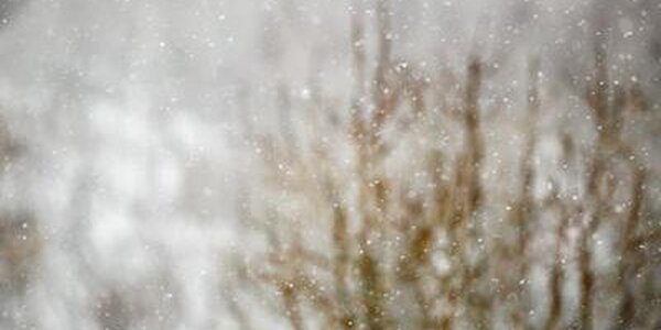 Дождь со снегом прошли в Приморье в среду