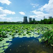 Погода в Приморье до конца недели сохранится без изменений