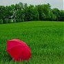 Сегодня в Приморском крае местами пройдут дожди