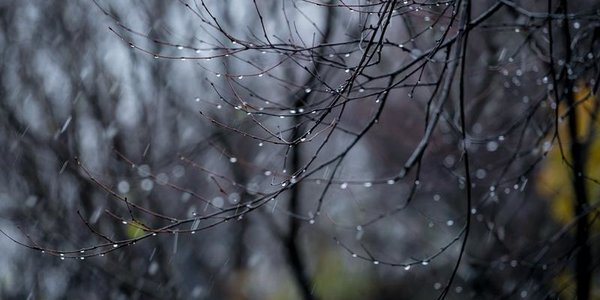 Дождь во Владивостоке начнётся ночью и продолжится завтра днём