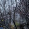 Дождь во Владивостоке начнётся ночью и продолжится завтра днём