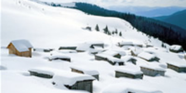 Где и сколько снега выпало в Приморском крае?