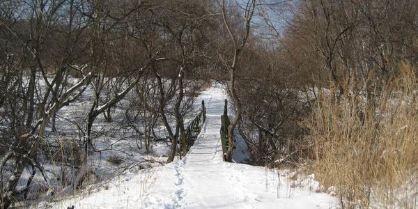 Выходные дни в Приморье были прохладными