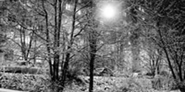 На юге Дальнего Востока начинаются морозные ночи