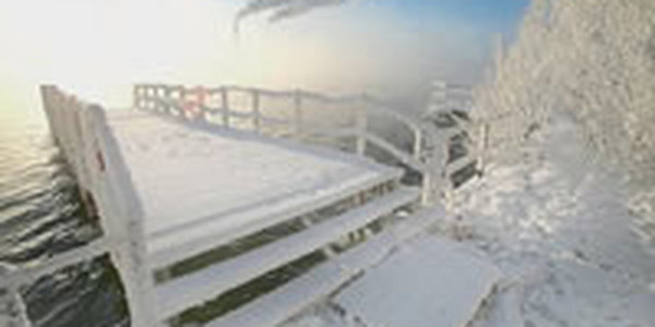 Какая погода ждет Приморье 1 января 2009 года?