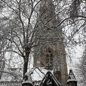 Лондон: жизнь после рекордного снегопада (ФОТО)