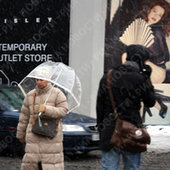 Лондон: жизнь после рекордного снегопада (ФОТО)