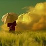 И дождь и солнце ждут Приморье в выходные