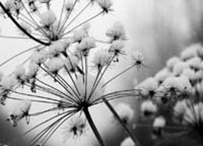 В Приморье прошел снег