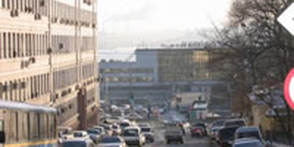 Близится Новый год, а снега во Владивостоке не предвидится