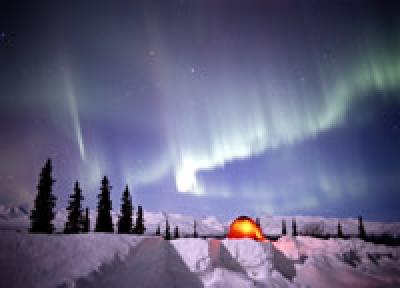 На полюсе холода аномально тепло