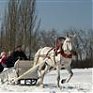 Русская зима разменяла «третий десяток»!