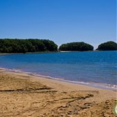 Эксклюзивная информация: Каким будет лето в Приморье?