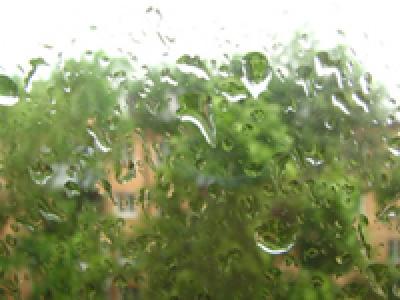 В выходные дни на юге Приморья пройдут осадки