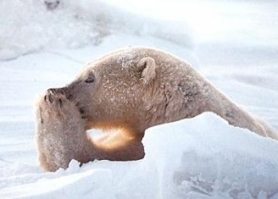 На севере дальневосточных регионов трещат морозы 