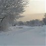 До конца текущей недели в Приморье сохранится умеренно- морозная погода