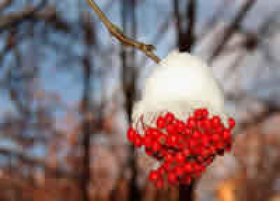 Завтра в Приморье возможен небольшой снег