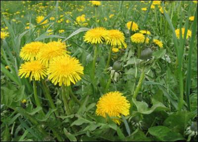 В Приморье пришло настоящее лето!