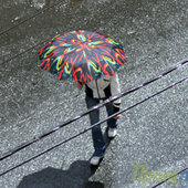 Дождь&Солнце - день чудесный!