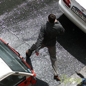 Дождь&Солнце - день чудесный!