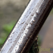 Дождь&Солнце - день чудесный!