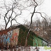 Долгожданный снег пришел в город! (ФОТО)