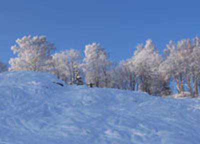 Циклон миновал Владивосток