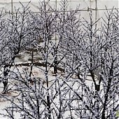 В Приморье выпал снег