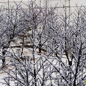 Февраль встречает снегом (ФОТО)