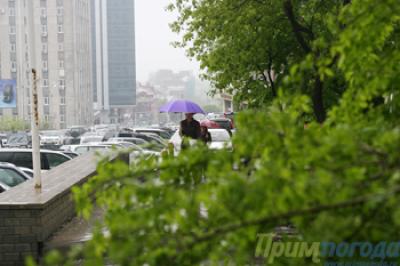 Вторая декада мая  в Приморье оказалась прохладной