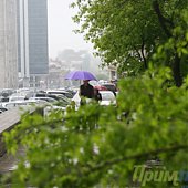 Сегодня во Владивостоке стало пасмурно и зелено! (ФОТО)