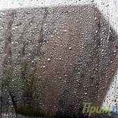 Сегодня во Владивостоке стало пасмурно и зелено! (ФОТО)