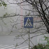 Из тумана наступает лето... 