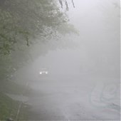 Из тумана наступает лето... 