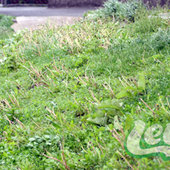 Циклон добавил проблем Владивостоку (ФОТО)